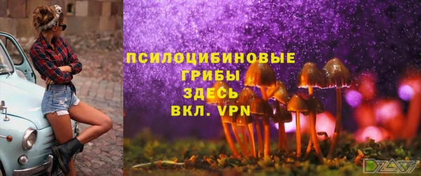 2c-b Балахна