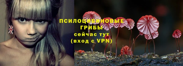 2c-b Балахна