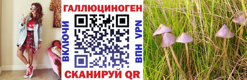 купить наркотик  Фролово  darknet Telegram  Псилоцибиновые грибы GOLDEN TEACHER 
